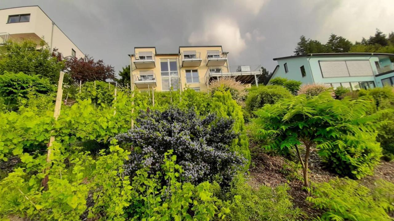 Apartament Casa La Vino Leiwen Zewnętrze zdjęcie