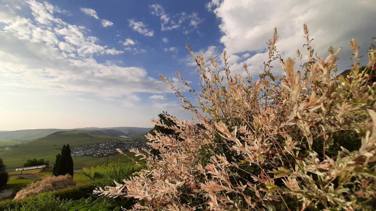 Apartament Casa La Vino Leiwen Zewnętrze zdjęcie