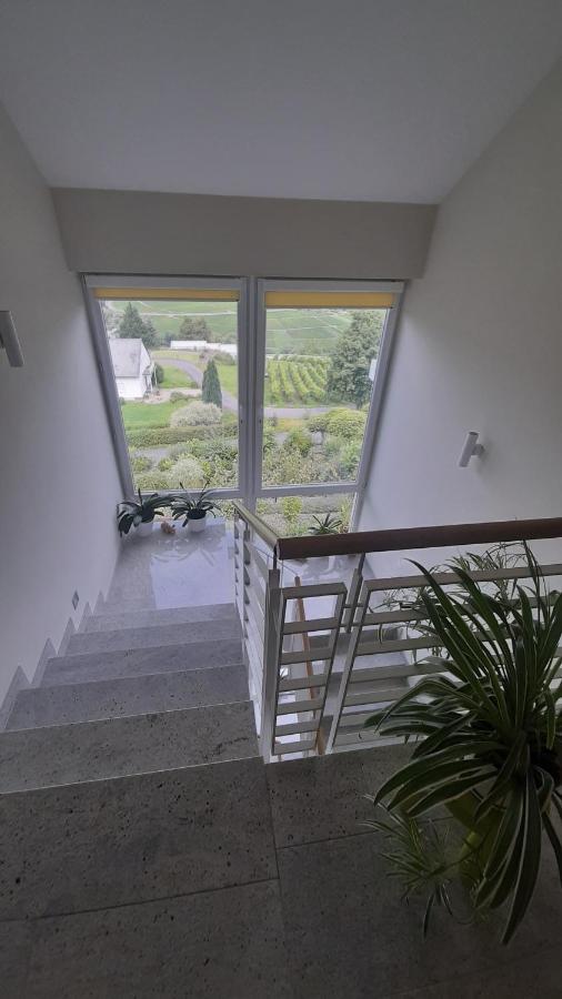Apartament Casa La Vino Leiwen Zewnętrze zdjęcie